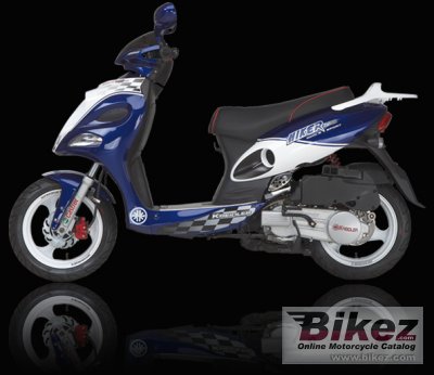 2009 Kreidler RMC-E 125 Hiker photo
